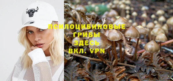 spice Володарск