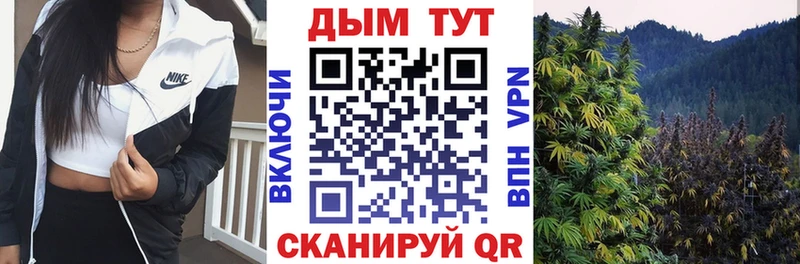 Бошки марихуана план  Миасс 